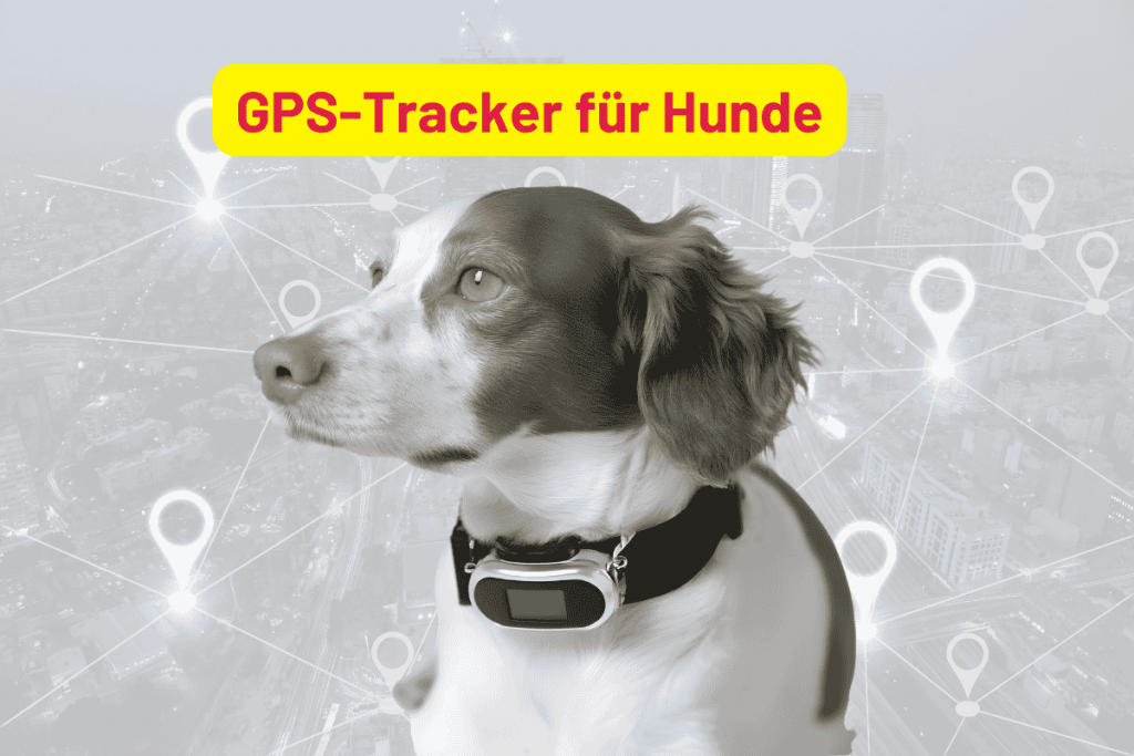 Die besten GPS-Tracker für Hunde