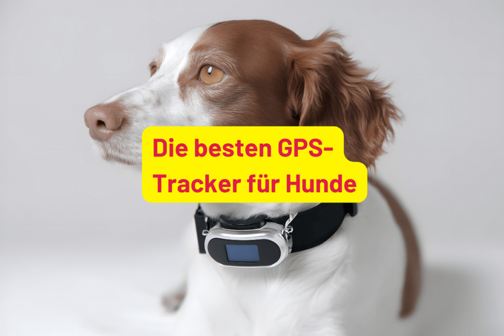 Die besten GPS-Tracker für Hunde