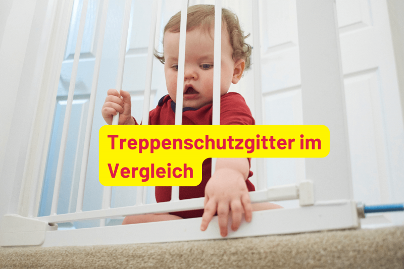 treppenschutzgitter-test